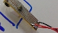 CIMG3247