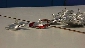 DEBUT ESCADRILLE BEY BLADE